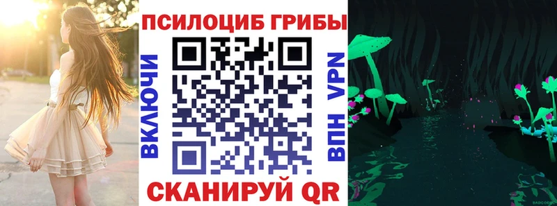 Галлюциногенные грибы MAGIC MUSHROOMS  купить наркотик  Новотитаровская 